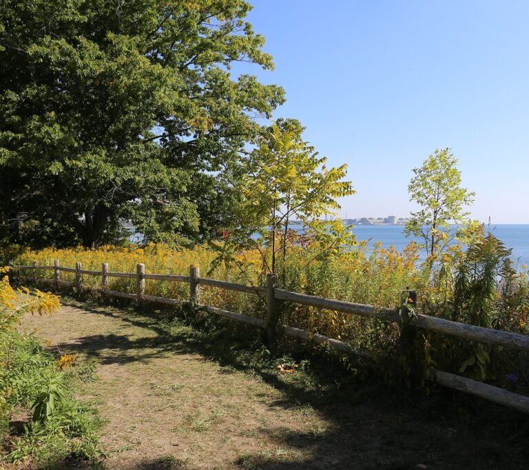 scenic trail at Petticoat Creek Conservation Park